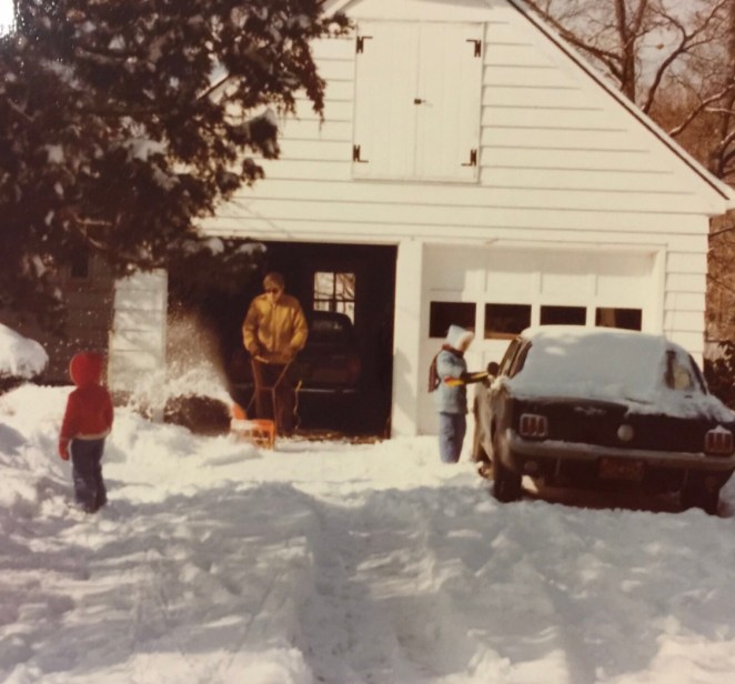 Dr. Pilla Blue Mustang